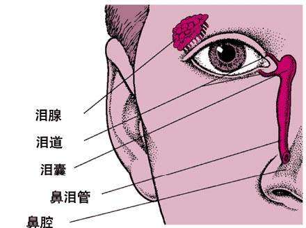 淚囊炎有哪些癥狀表現(xiàn)和并發(fā)癥？如何？