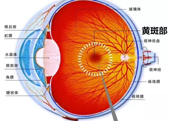 眼科醫生：在黑暗中看手機會患上“眼癌”？